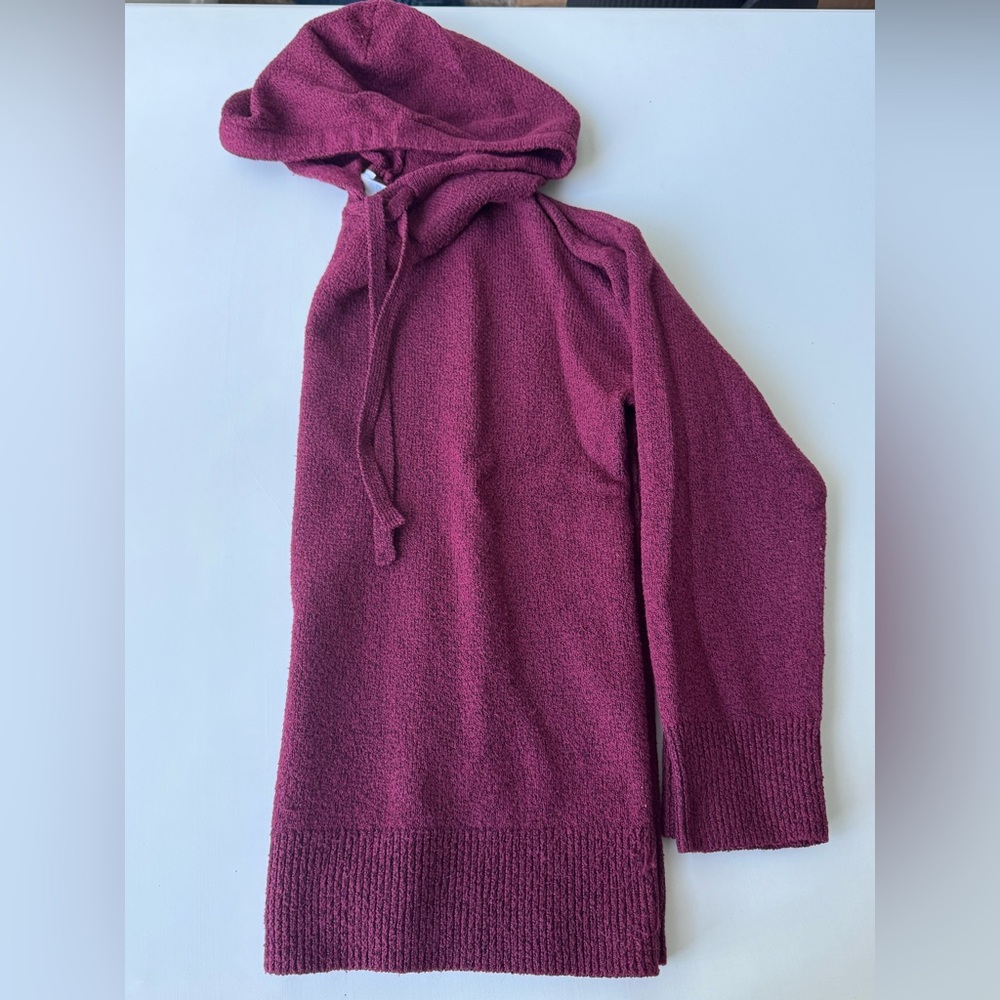Time and Tru sweater hoodie & pants set